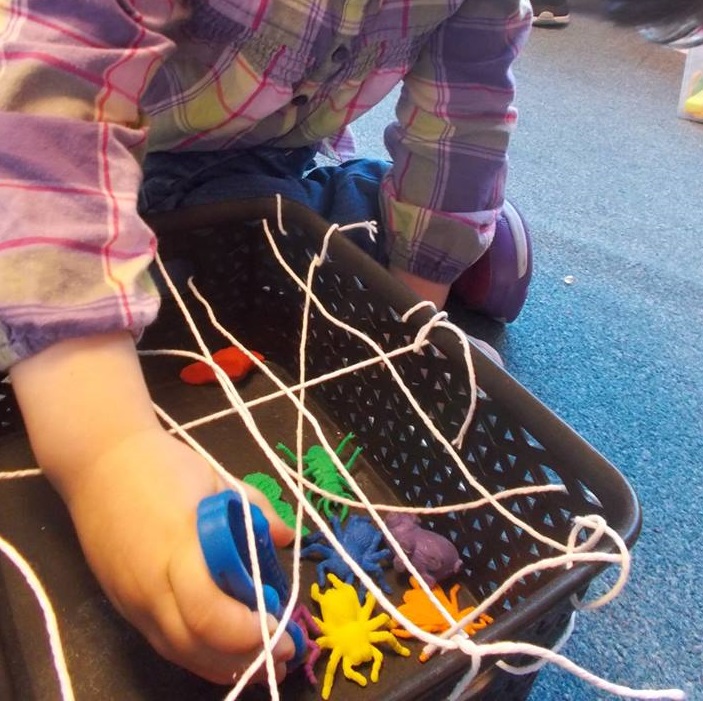 Bug catching activity