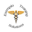 exemplo training solutions