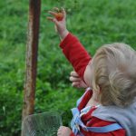 How early years practitioners can teach children where food comes from