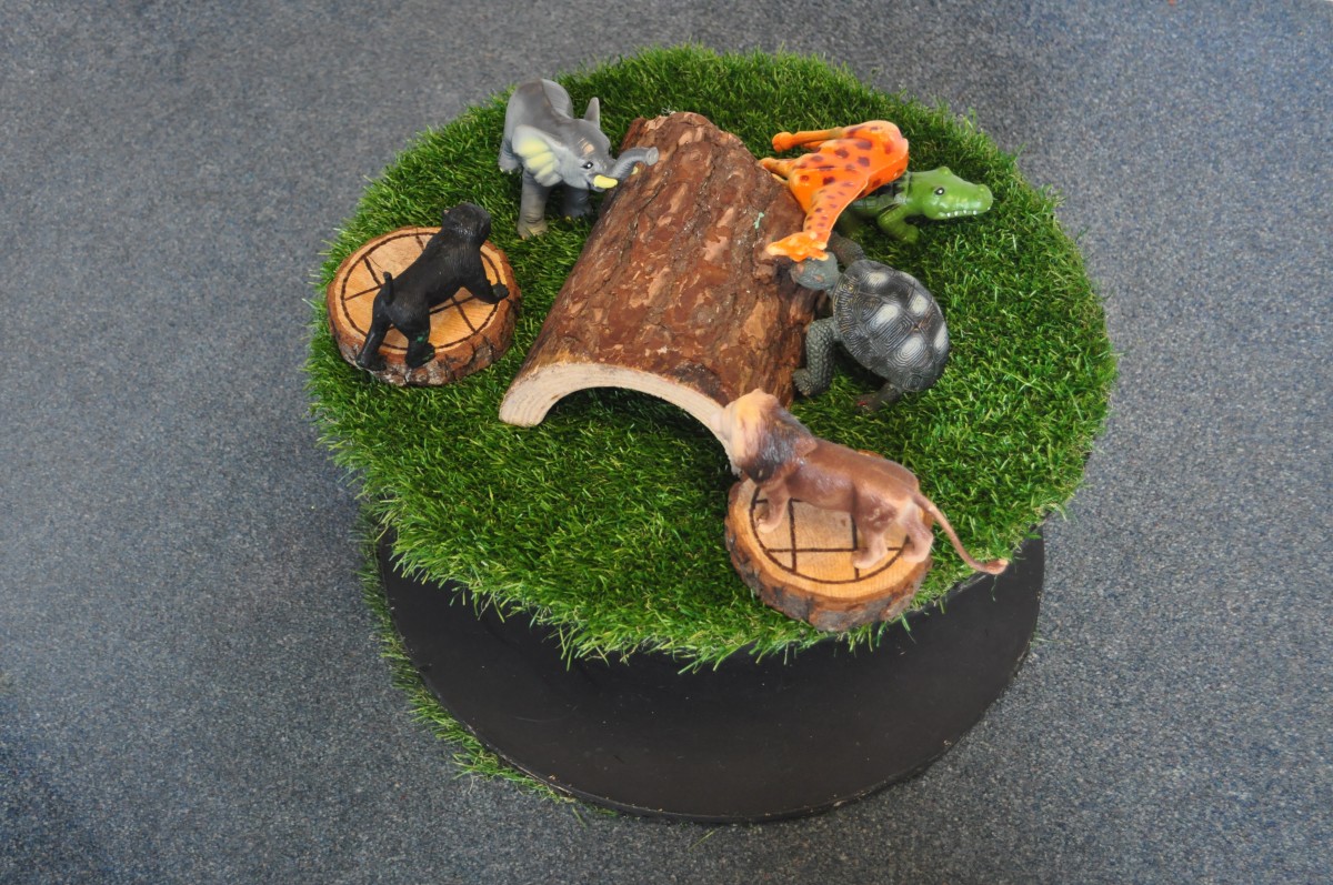 What Are The Benefits To Using And Decorating A Cable Drum? Early